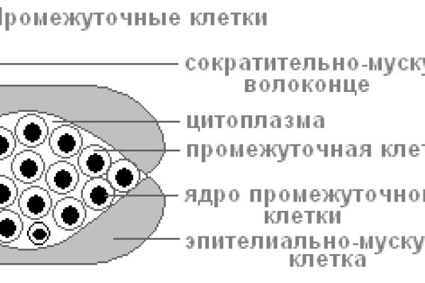 Кракен оф сайт