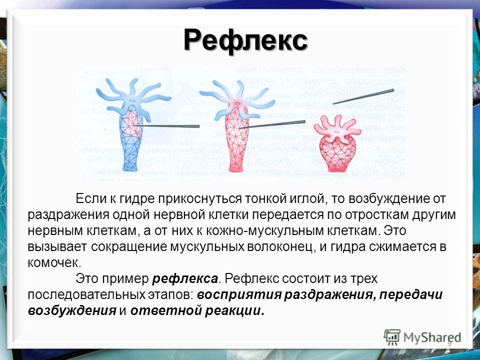 Как зарегистрироваться на кракене из россии